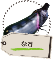 なす