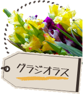 グラジオラス