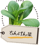 ちんげん菜