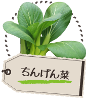 ちんげん菜