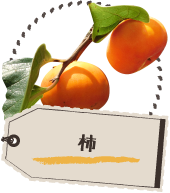 柿