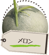 メロン