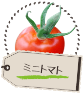 ミニトマト