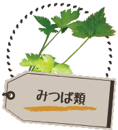 みつば類