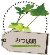 みつば類