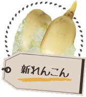 新れんこん