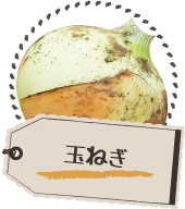 玉ねぎ