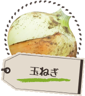 玉ねぎ