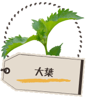 大葉