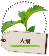 大葉
