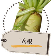 大根
