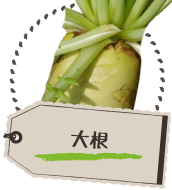大根