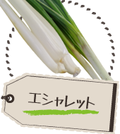 エシャレット