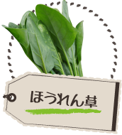 ほうれん草