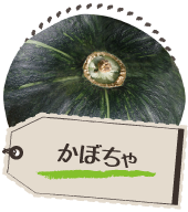 かぼちゃ