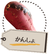 かんしょ