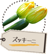 ズッキーニ