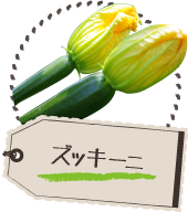 ズッキーニ