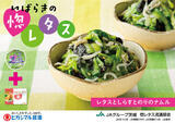 いばらき惚レタス×ヒガシマル醤油　コラボレシピ