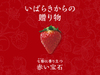 ibaraki 旬のいちごキャンペーン（応募締切：2023年2月3日（金）当日消印有効）