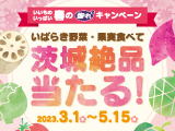 JAグループ茨城いいもの いっぱい いばらき 春の惚れ2キャンペーン2023