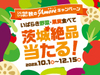 JAグループ茨城「いいもの いっぱい いばらき 秋のAmoreキャンペーン」2023