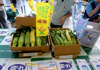 corn01_320.jpg
