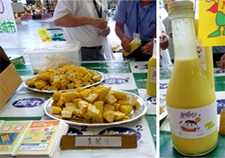 corn03_320.jpg