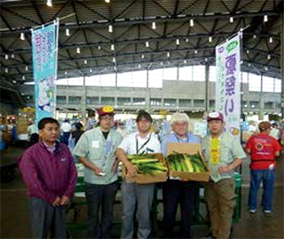 corn_main_320.jpg