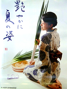 negi03.jpg