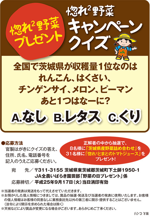 2013やさいの日キャンペーン