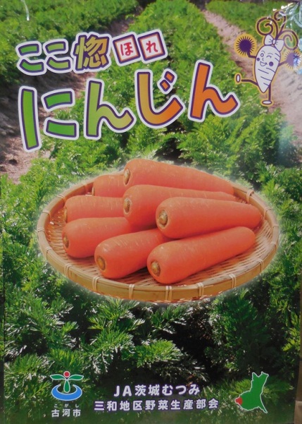 img01.jpg