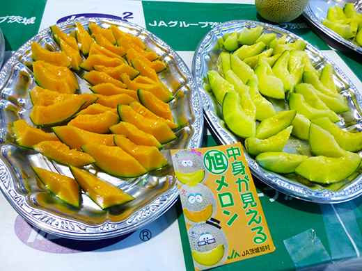 img01.jpg