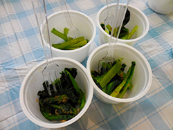 img02.jpg