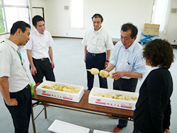 img02.jpg