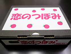 img01.jpg