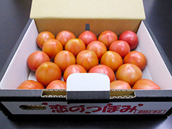 img02.jpg