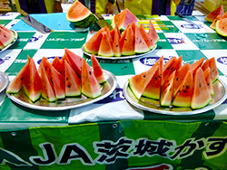 img05.jpg