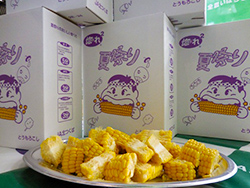 img01.jpg