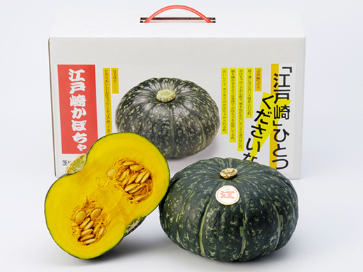 「農家の人々」プレゼント企画!!JA稲敷の「江戸崎かぼちゃ」をプレゼント!!