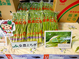 img08.jpg