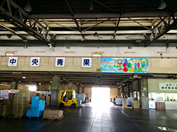 img08.jpg