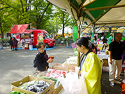 img03.jpg