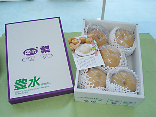 01.jpg