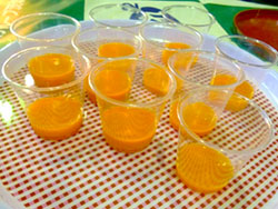 images004.jpg