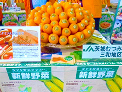 images005.jpg