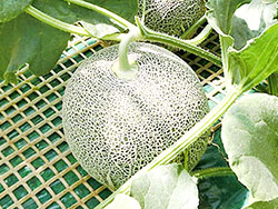 image2.jpg