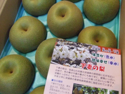 20150806_05.jpg