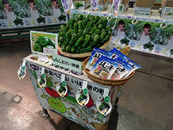 image5.jpg