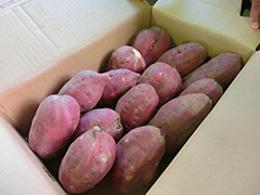 image2.jpg